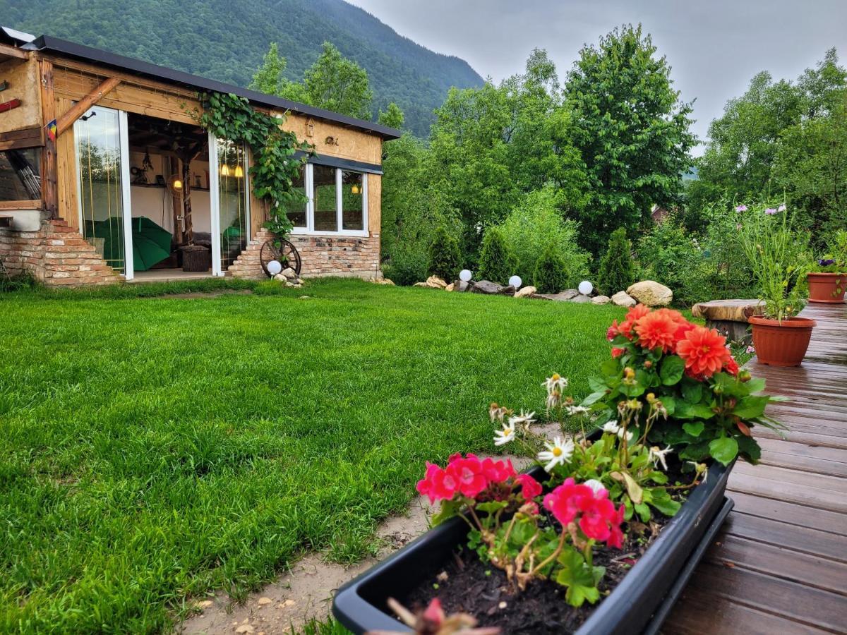 Casuta Din Crai Villa Zarnesti Exterior photo